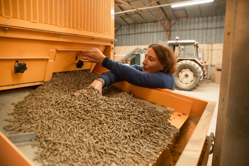 Se chauffer à la fougère ? Le pari d’une entreprise bretonne