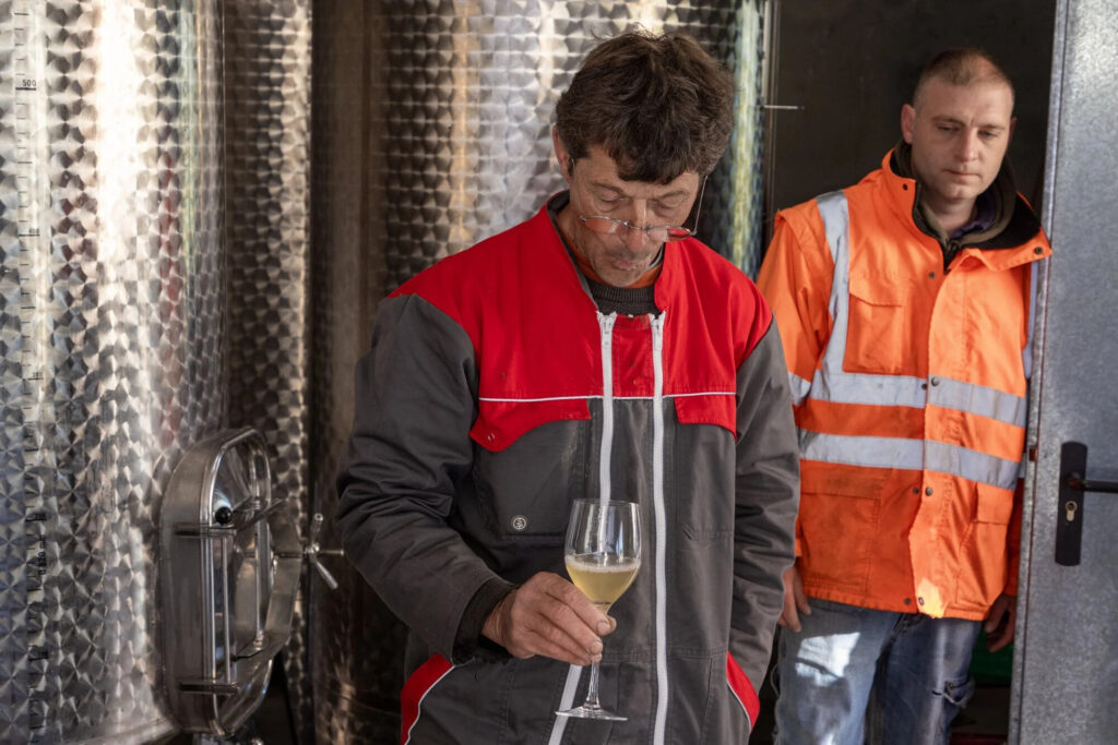 Sous les terrils, le Charbonnay