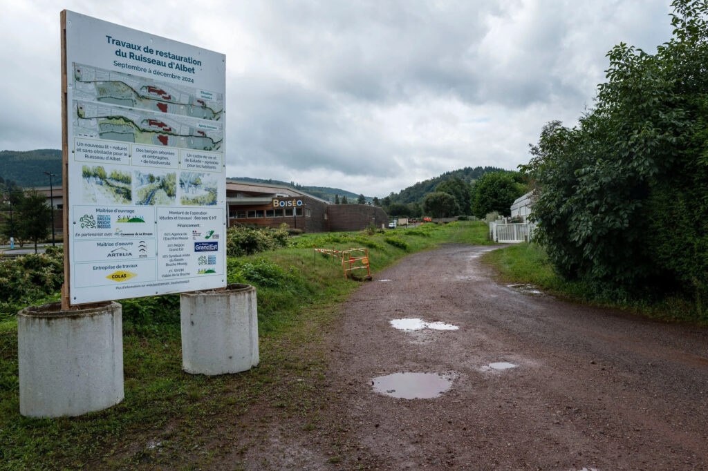 Réparer la nature : quand l’homme recrée un ruisseau