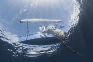 Malaysia, Boheyan island, 2024-05-10. Old Bajau Laut man freediving from his outrigger canoe hunt some fishes. Photograp