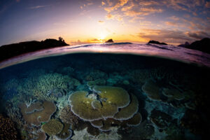 Fiji, Kuata island, 2022-09-02. Split shot picture of a coral reef at sunset in Kuata island in Fiji. Photograph by Gill
