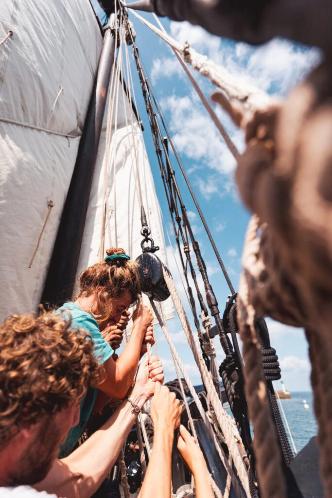 Grayhound, le transport à la voile entre tradition et modernité