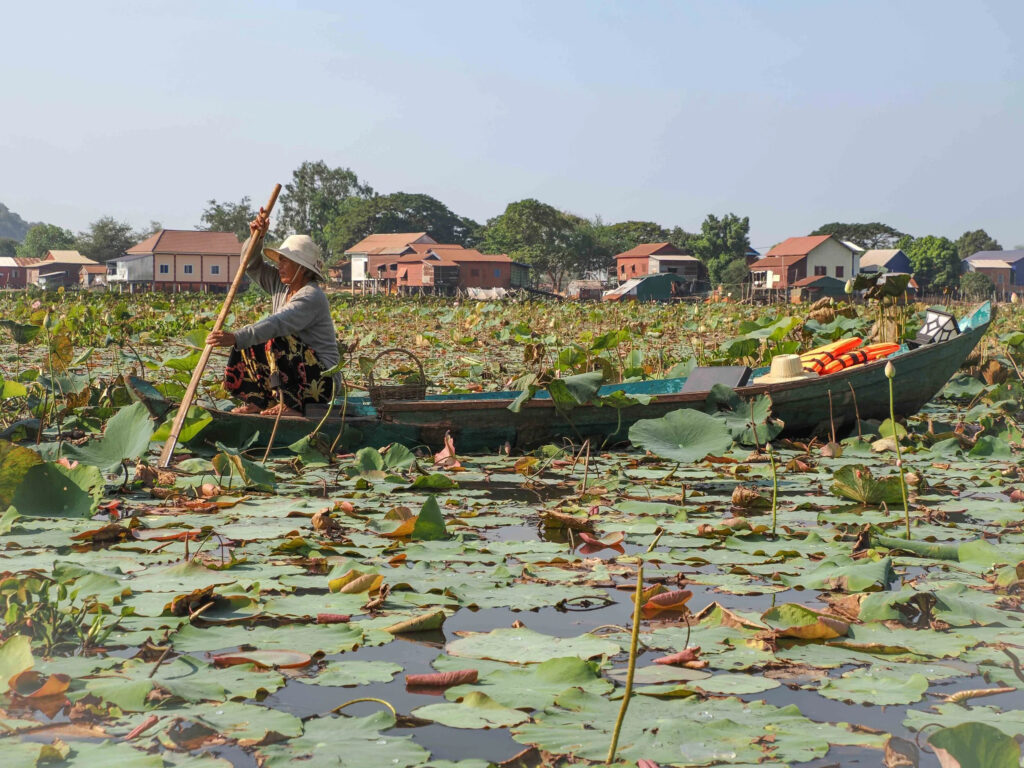 Deux femmes au cœur du lotus