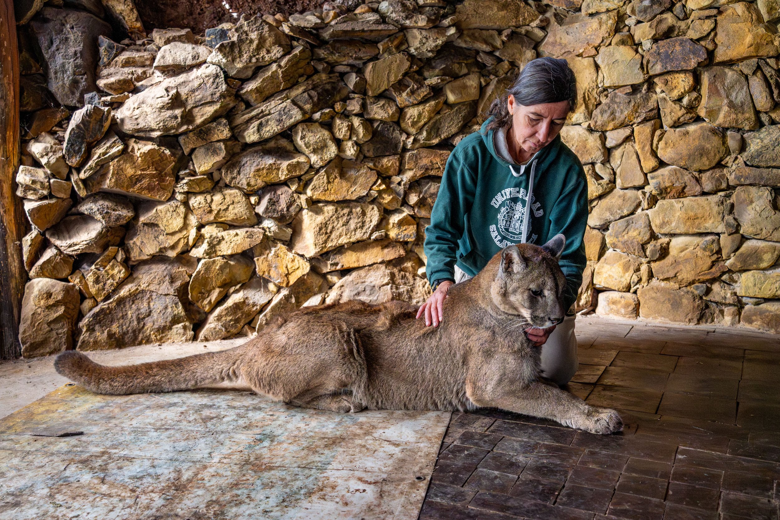 La gardienne des pumas