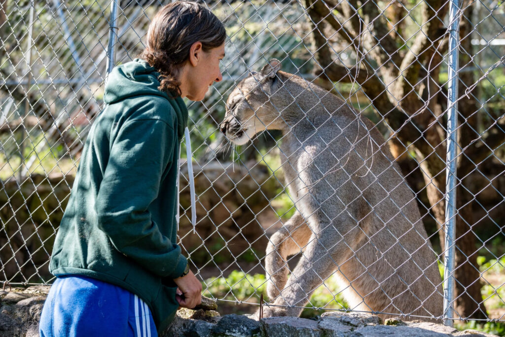 La gardienne des pumas