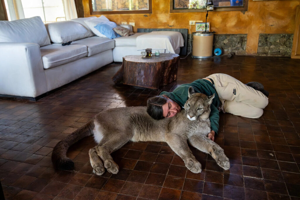 La gardienne des pumas