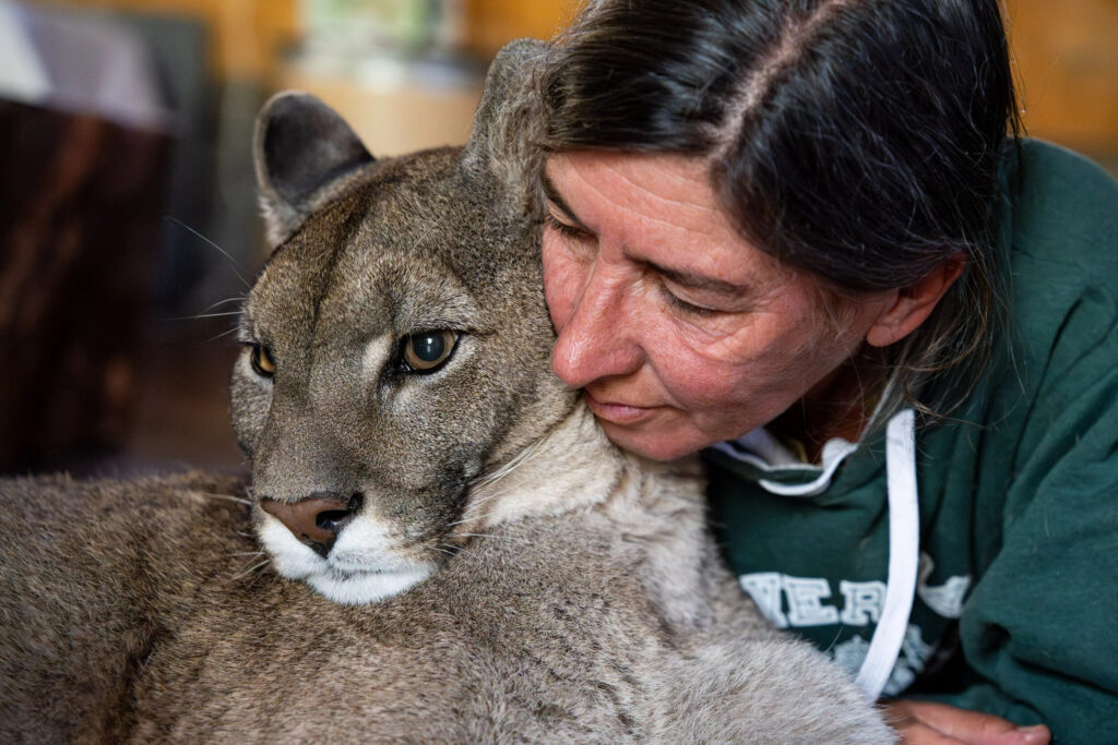La gardienne des pumas