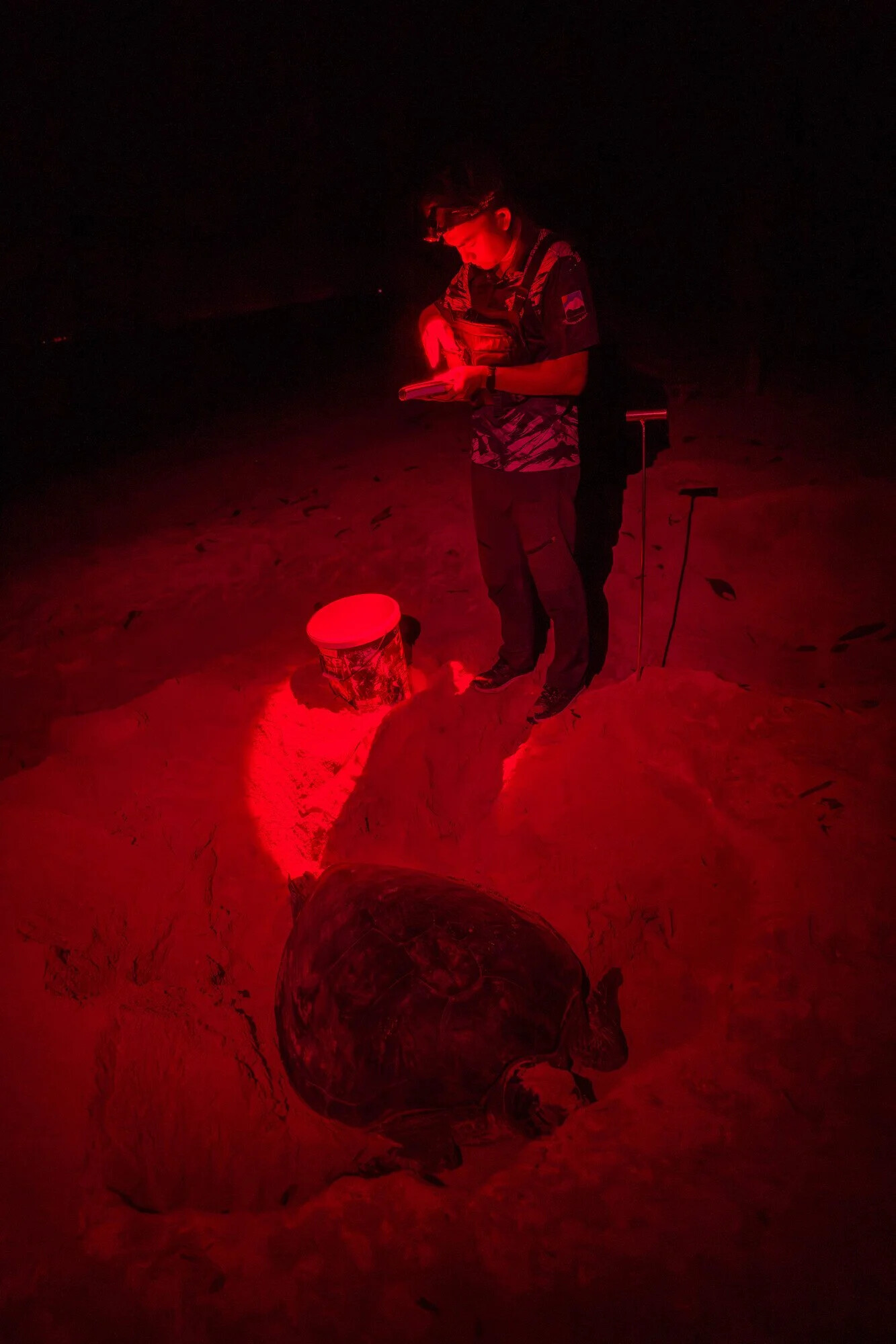 Malaysia, Selingan island, 2026-06-14. Eimir, one of the rangers on Selingan Island, patrols the beach night after night