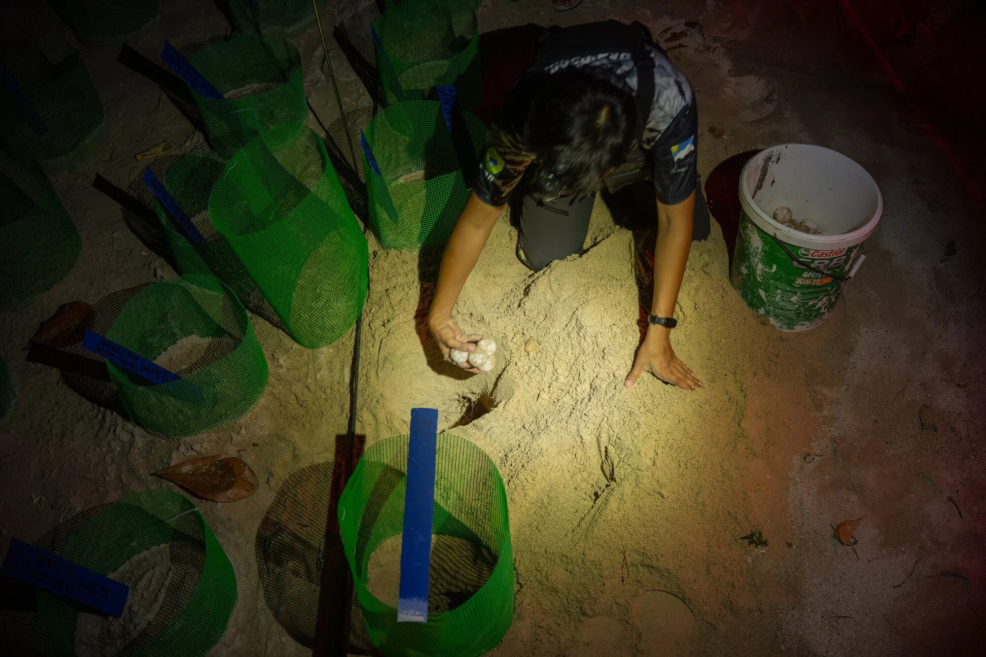 Malaysia, Selingan island, 2026-06-14. Eimir, a ranger at Selingan island, is transferring newly collected turtle eggs t