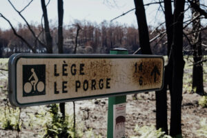 France, Nouvelle Aquitaine, Gironde, Le Porge, July 2026. A road sign for Lege and Le Porge stands in front of a burned
