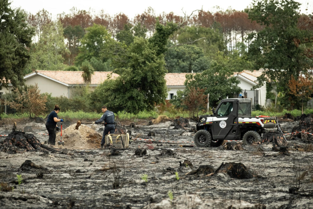 Gironde : après les incendies, la vie reprend ses droits