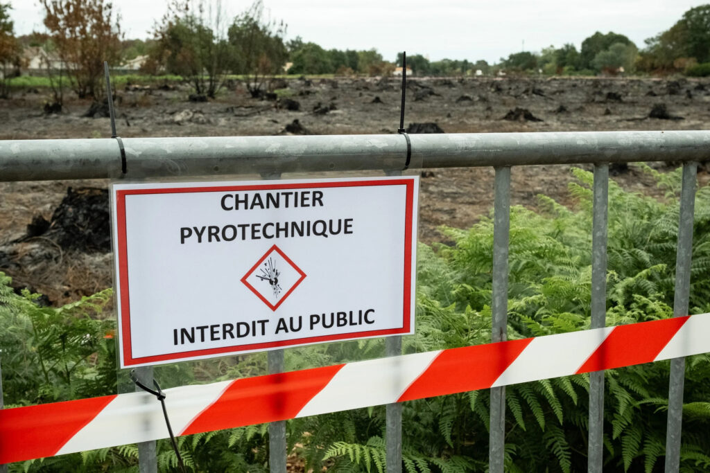 Gironde : après les incendies, la vie reprend ses droits