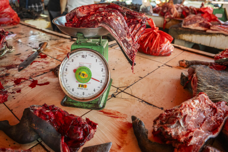 Indonesia, Tomohon, 2026-09-11. Close-up of a mechanical scale weighing a rack of ribs, carcasses all around, Tomohon ma