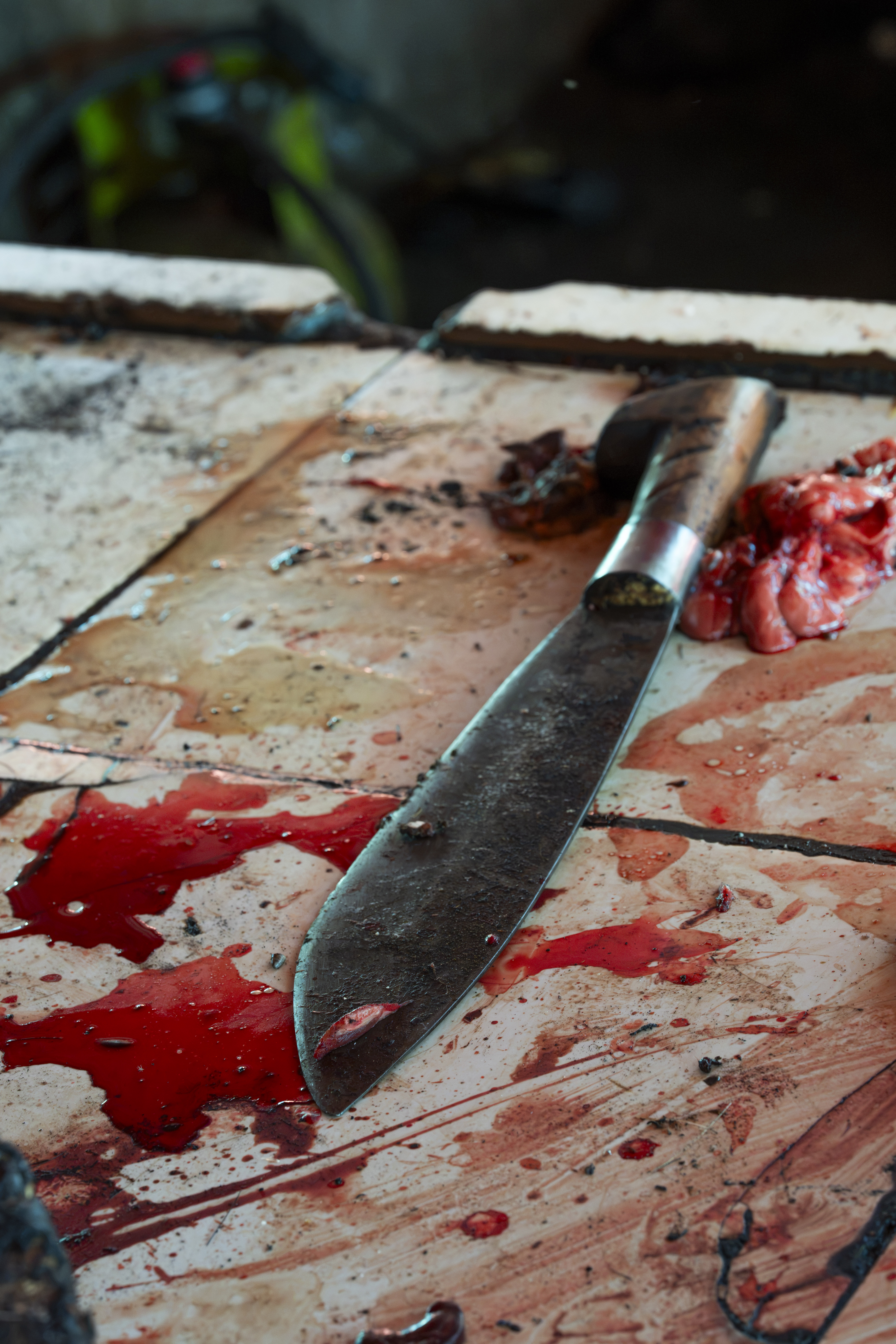 Indonesia, Tomohon, 2026-09-11. Close-up of a blood-stained knife on soiled tiles, a piece of raw meat nearby, Tomohon m