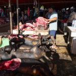 Indonesia, Tomohon, 2026-08-29. Butcher cutting a rack of ribs, a pile of blackened grilled dog carcasses in the foregro