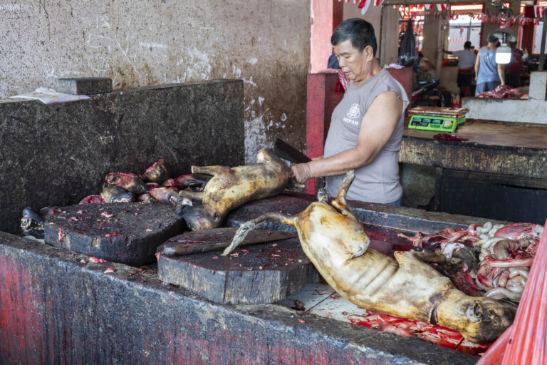 Indonesia, Manado, 2026-08-28. Butcher in a Satpam T-shirt cutting dog carcasses on blackened chopping blocks, offal vis