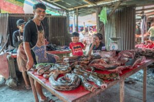 Indonesia, Langowan, 2026-09-12. Smiling vendor and his children near reticulated pythons laid out on a red table at Lan