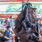Indonesia, Tomohon, 2026-09-11. Whole fruit bat hanging, membranous wings spread, Tomohon extreme market. Photograph by