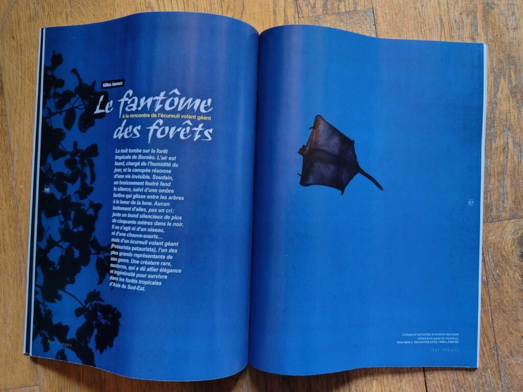 Parution dans la presse