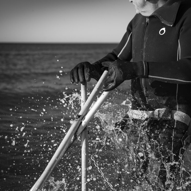 Un jour de février, à l’aube, j’emboîte le pas de Sylvain, dernier pêcheur de tellines de l'Hérault. Au bout de la route