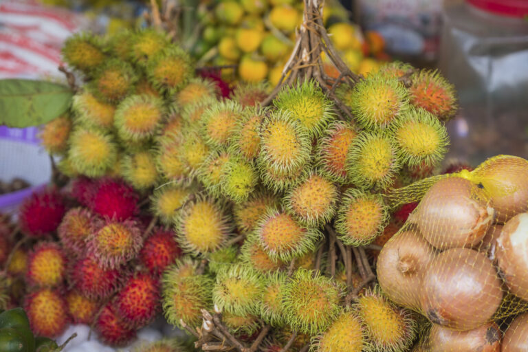 France, Cayenne, 2018-03-17. A week across French Guiana, from the market of Cayenne to the ruins of the penal colony, t