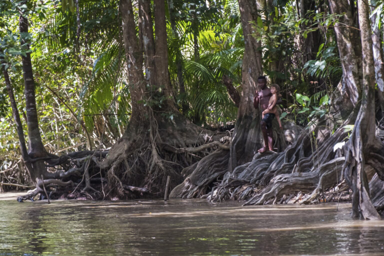 France, Cayenne, 2018-03-18. A week across French Guiana, from the market of Cayenne to the ruins of the penal colony, t