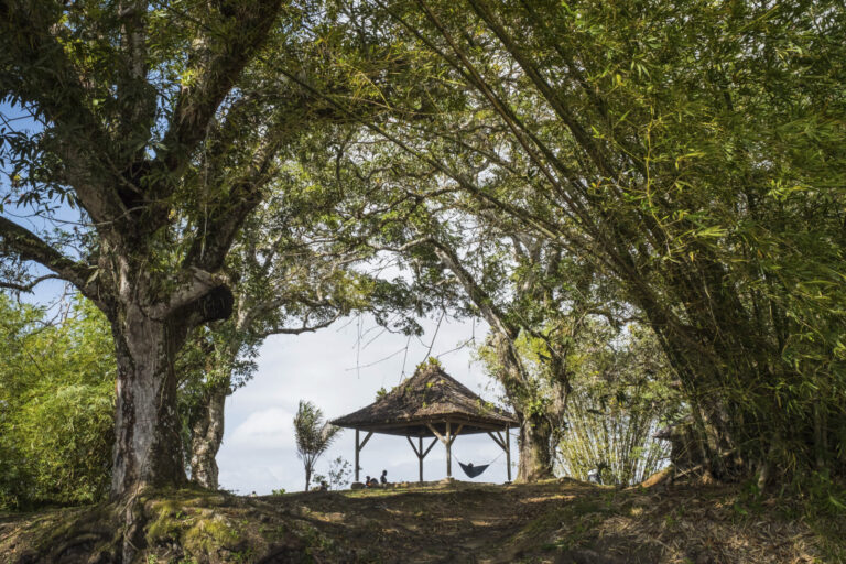 France, Cayenne, 2018-03-18. A week across French Guiana, from the market of Cayenne to the ruins of the penal colony, t