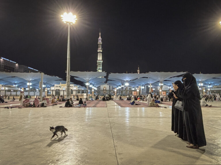 Saudi Arabia, Madinah, 2024-02-12. Madinah, the second holy city of Islam, receives pilgrims all year round around Al-Ma