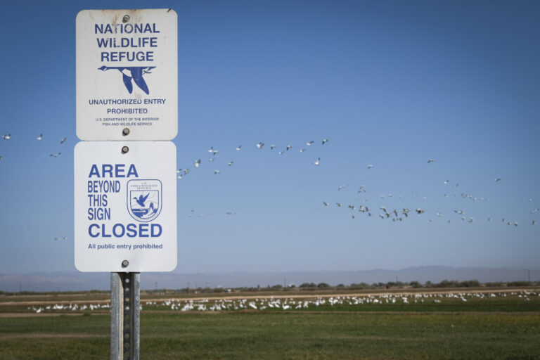 United States of America, Salton City, 2019-11-11. The Salton Sea, an accidental lake in the Californian desert, is dryi