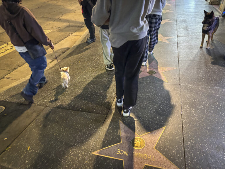 California, Los Angeles, 2025-12-29. The Hollywood Walk of Fame embodies an iconic journey through Los Angeles, where st