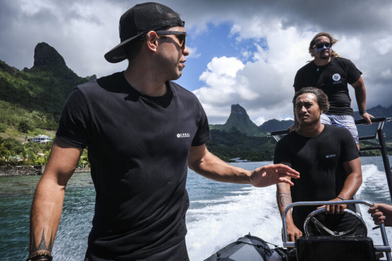 French Polynesia, Moorea, 2019-10-26. On the lagoon of Moorea, the young volunteers of the Coral Gardeners association g