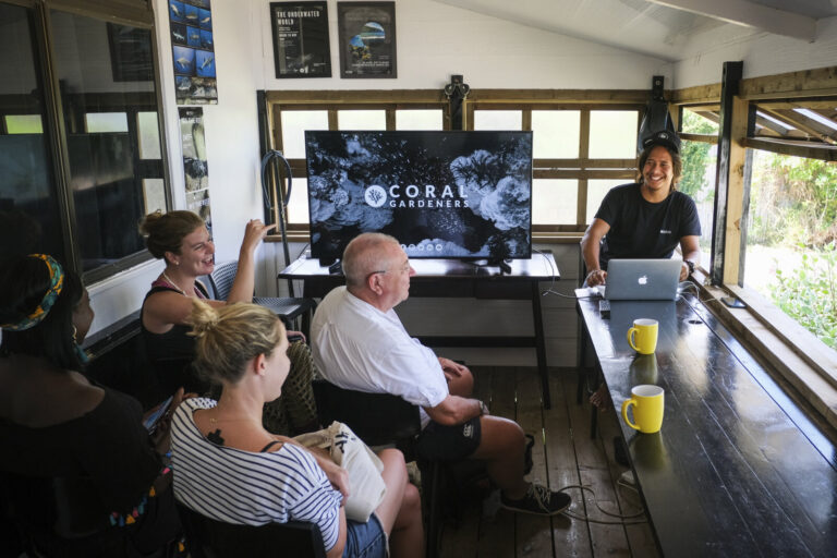 French Polynesia, Moorea, 2019-10-27. On the lagoon of Moorea, the young volunteers of the Coral Gardeners association g