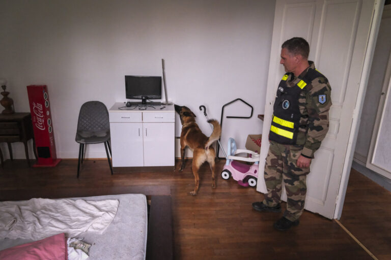 France, Gramat, 2026-03-03. Electronic detection dogs of the gendarmerie at the national dog training centre of Gramat, 