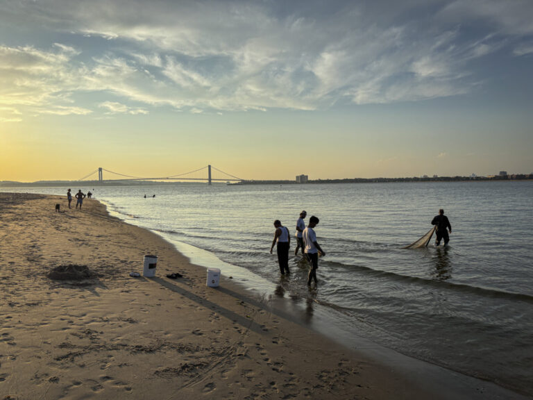 United States, New York, 2026-08-08. People fish with a net at sunset, with the Verrazzano-Narrows Bridge behind. Photog