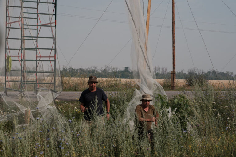 Ukraine, Dobropillia, 2025-07-12. In the Donbas, Ukrainian soldiers are installing fishing nets along several kilometers