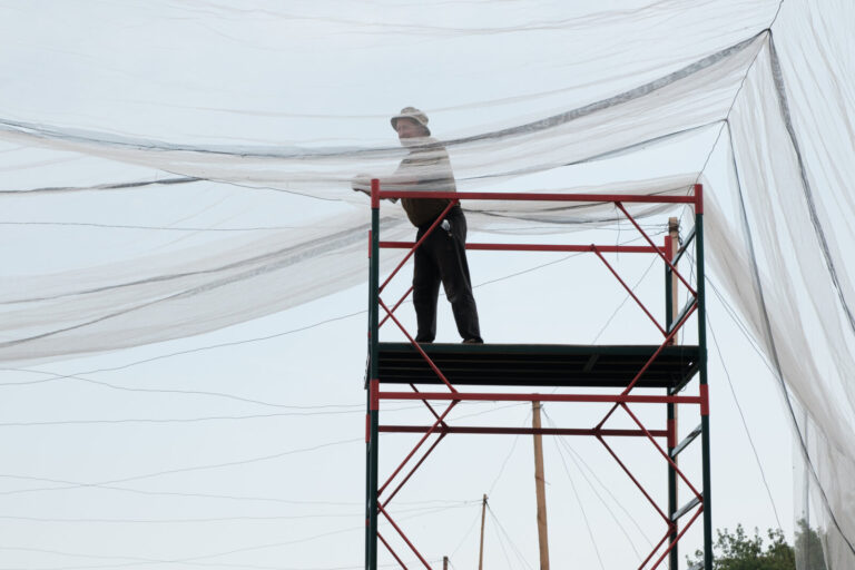 Ukraine, Dobropillia, 2025-07-12. In the Donbas, Ukrainian soldiers are installing fishing nets along several kilometers