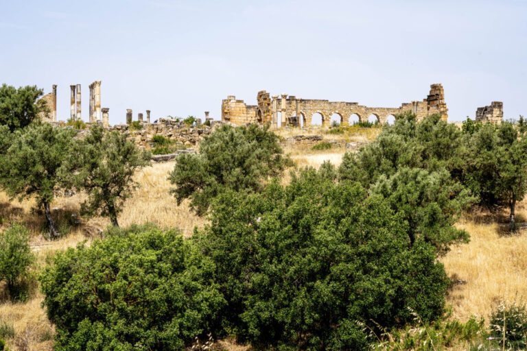 Maroc, Moulay Idris Zerhoun, 2025-06-10. Maroc, 10 juin 2025 : Site archeologique de Volubilis, situe dans la region de 