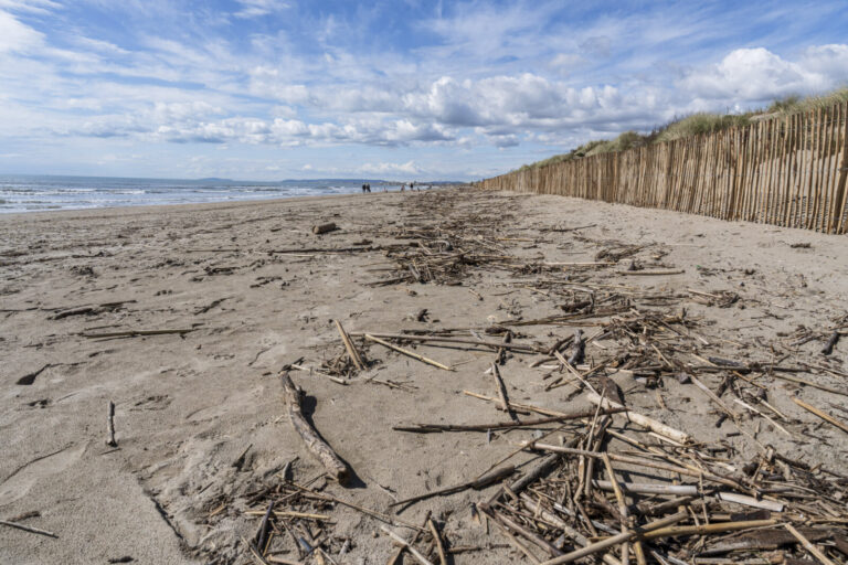 France, La Grande Motte, Occitanie, 2025-03-12. Apres un episode mediterrannee, les dechets rejetes par la mer se sont a