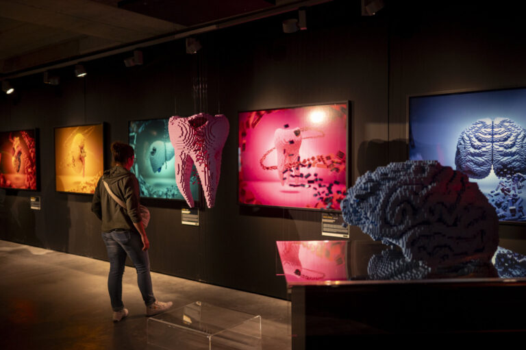 France, Bordeaux, 2025-04-18. France, Bordeaux, 2025-04-18, After a huge success all over the world, Art of the Brick mo