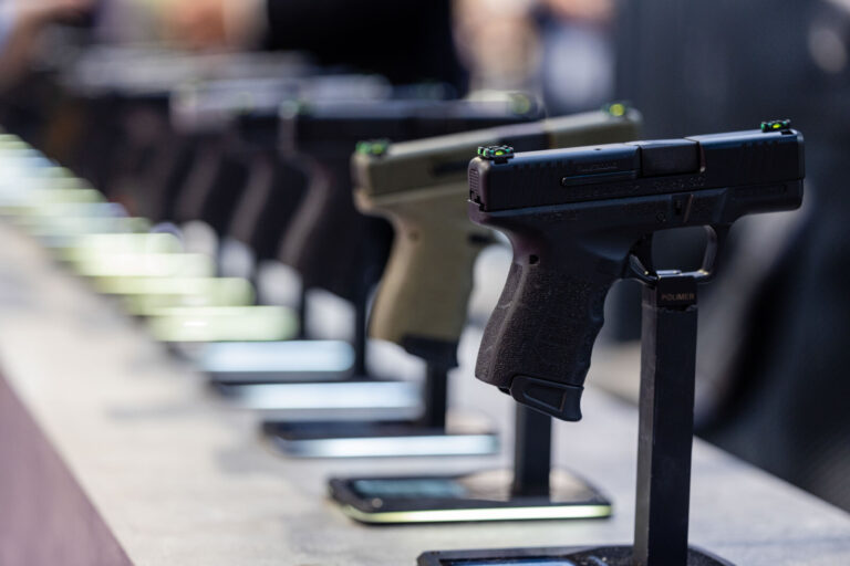 France, Villepinte, 2023-11-15. World exhibition for National safety and internal security. Guns alignment Photography b