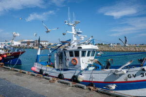 France, Saint Guenole, 2023-08-04. Fishing boats dock in the harbour with seagulls and gulls flying around. Photograph b