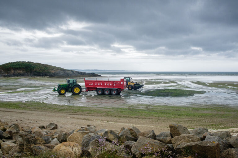 France, Plonevez Porzay, 2024-08-13. Tractors collecting green algae on a beach. Photography by Franck CHAPOLARD / Colle