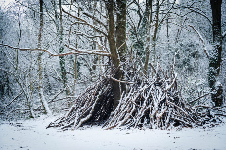 France, Ste Foy les Lyon, 2026-01-08. A pile of wood shaped like a hut under the snow in a forest. Photograph by Franck 