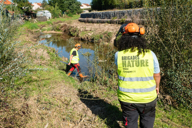 France, Oullins, 2025-09-19. Construction site of the nature brigades, an integration association, on the banks of the Y