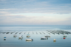 France, Penestin, 2025-08-04. Mussel farming on bouchots in a mussel farming park located in Morbihan. Photography by Fr