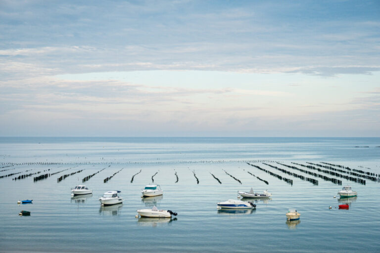 France, Penestin, 2025-08-04. Mussel farming on bouchots in a mussel farming park located in Morbihan. Photography by Fr