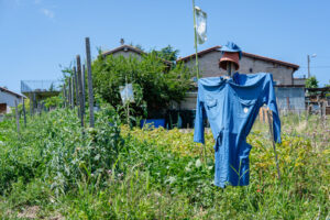 France, Rive de Gier, 2023-07-09. A scarecrow wearing a blue smock and cap in a garden. Photograph by Franck CHAPOLARD /