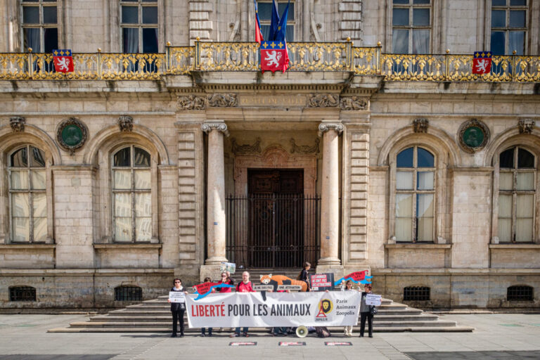 France, Lyon, 2024-03-21. A happening organised by paris animaux zoopolis was held in front of the town hall on the occa
