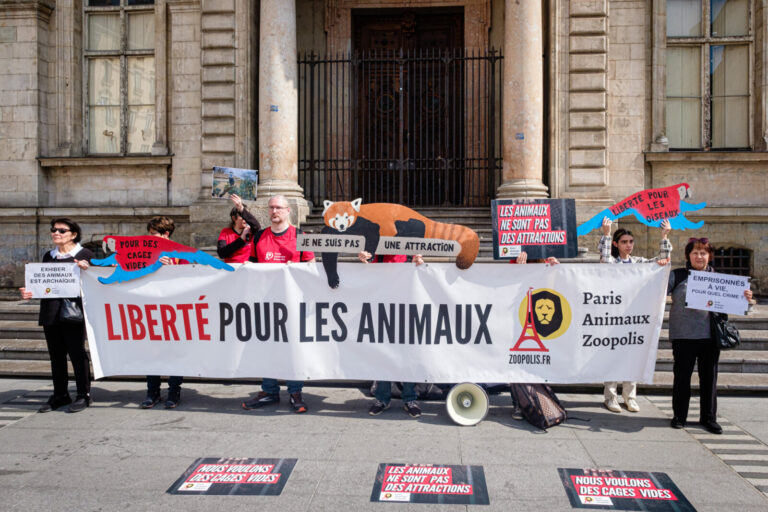 France, Lyon, 2024-03-21. A happening organised by paris animaux zoopolis was held in front of the town hall on the occa