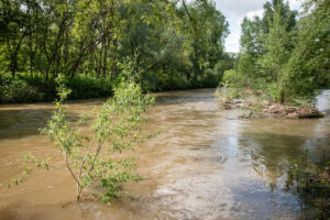 France, Chazay d'Azergues, 2024-05-03. The Azergues river in flood after the rainy spring weather. Photography by Franck